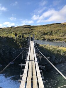 Bridge wood adventure