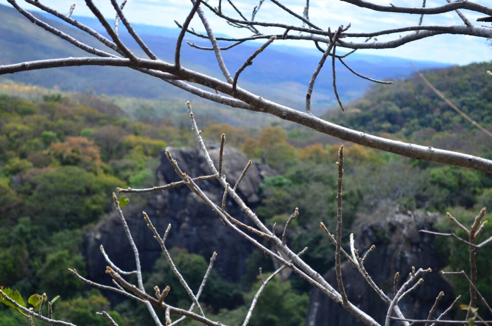 Mountain nature trail