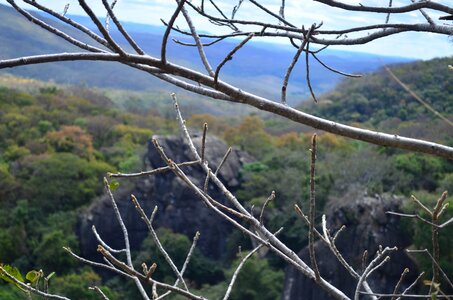 Mountain nature trail