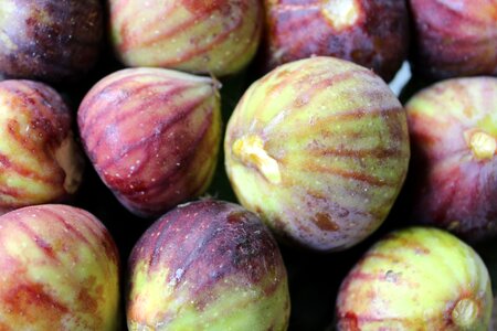 Fruit figs nature