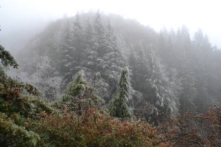 Hills winter scenic
