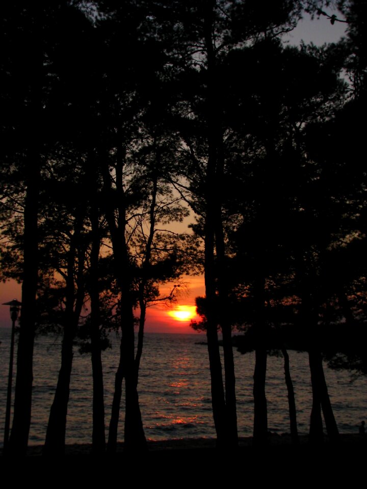 Nature island water