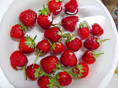 Water poured fruit