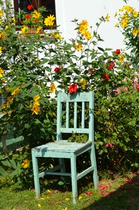Flowers region decoration