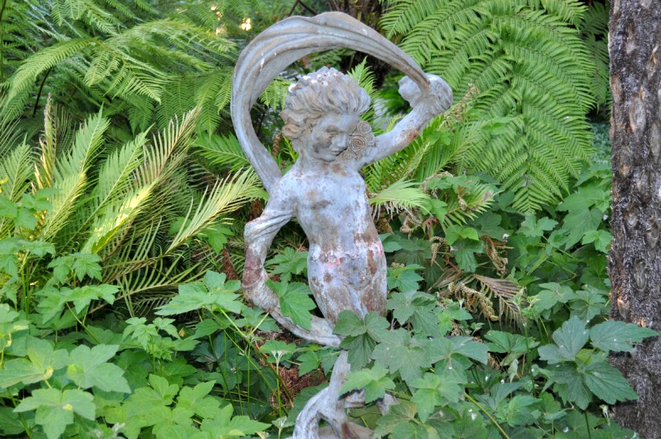 Statue plant foliage