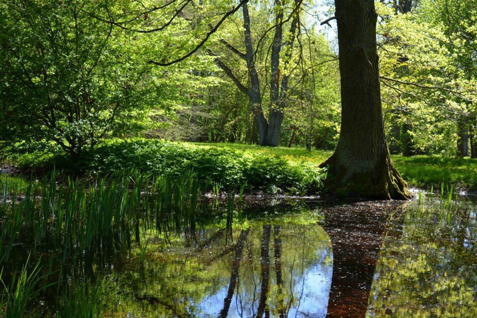 Water water mirror spring
