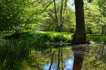 Water water mirror spring