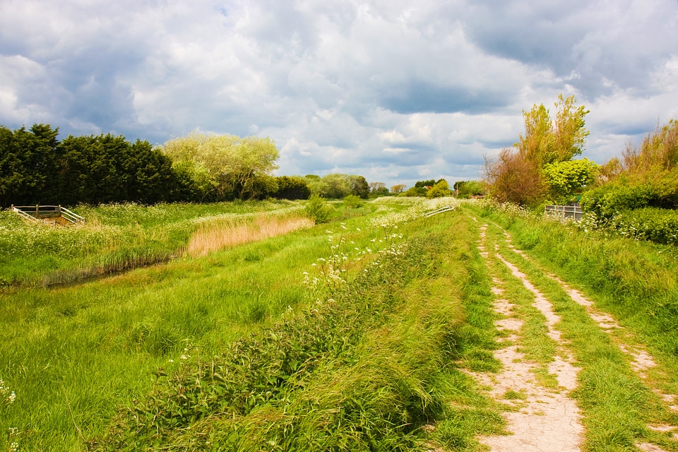 Nature footpath outdoor