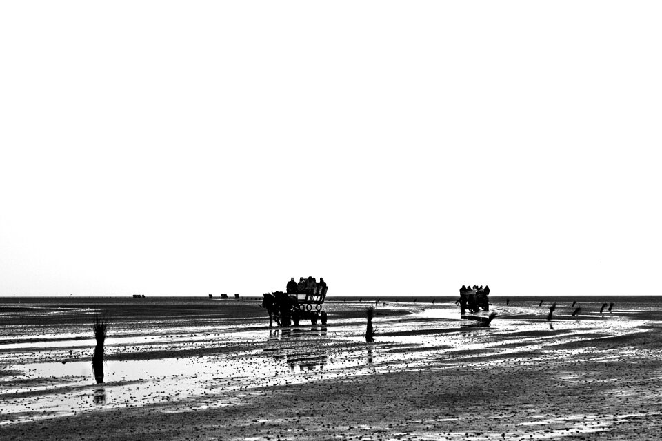 Coach watt car horses