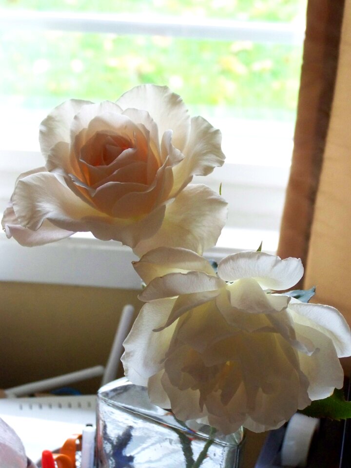 Peach romantic love