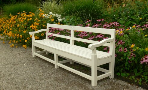 White flowers relax