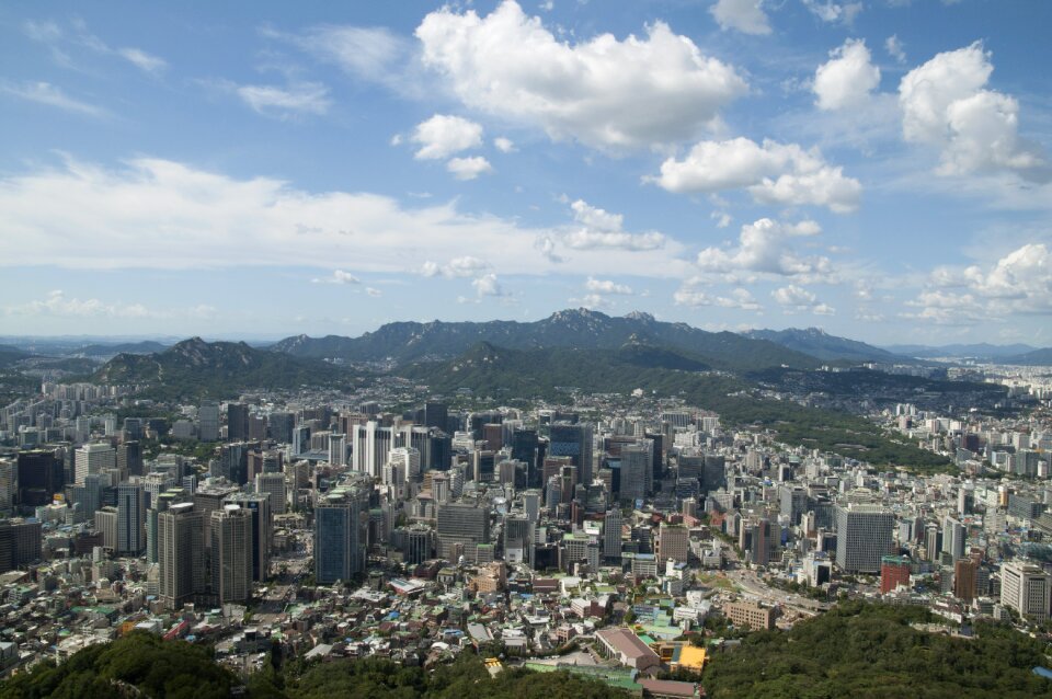 Korea cbd city