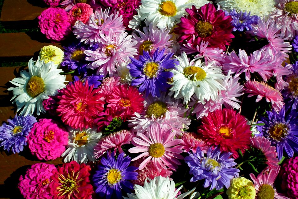 Summer nature decoration