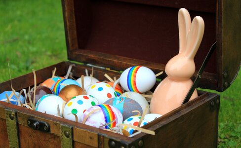 Bunny chest trunk photo