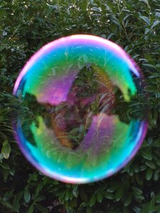 Fantasy world through the soap bubble play of color in nature children's dreams