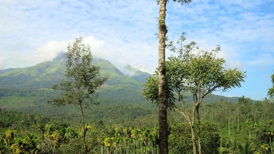 Green kerala wayanad