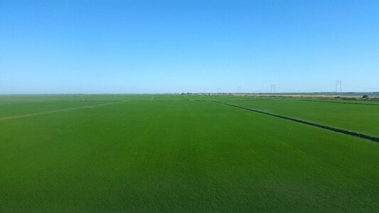 Grass field background