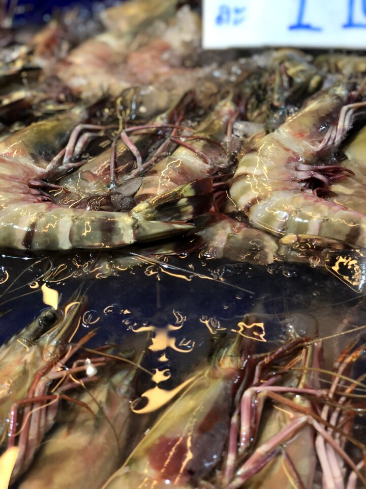 Fresh delicious eat