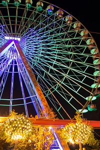 Holland night lights