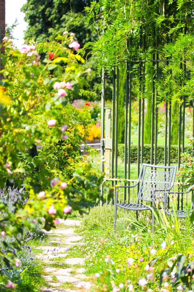 Summer gardening environment