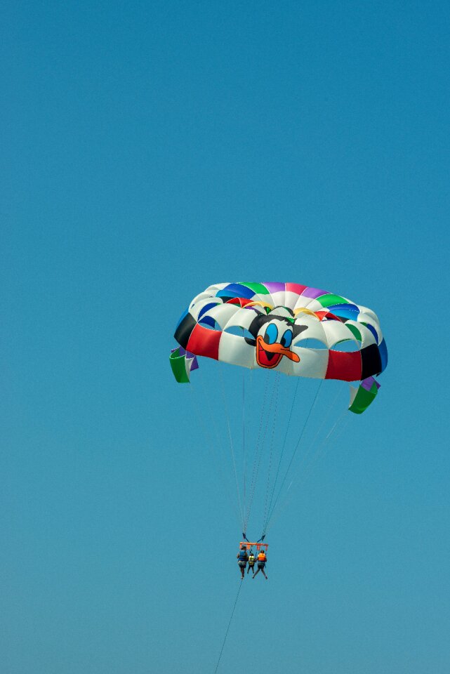 Blue fly in the air screen