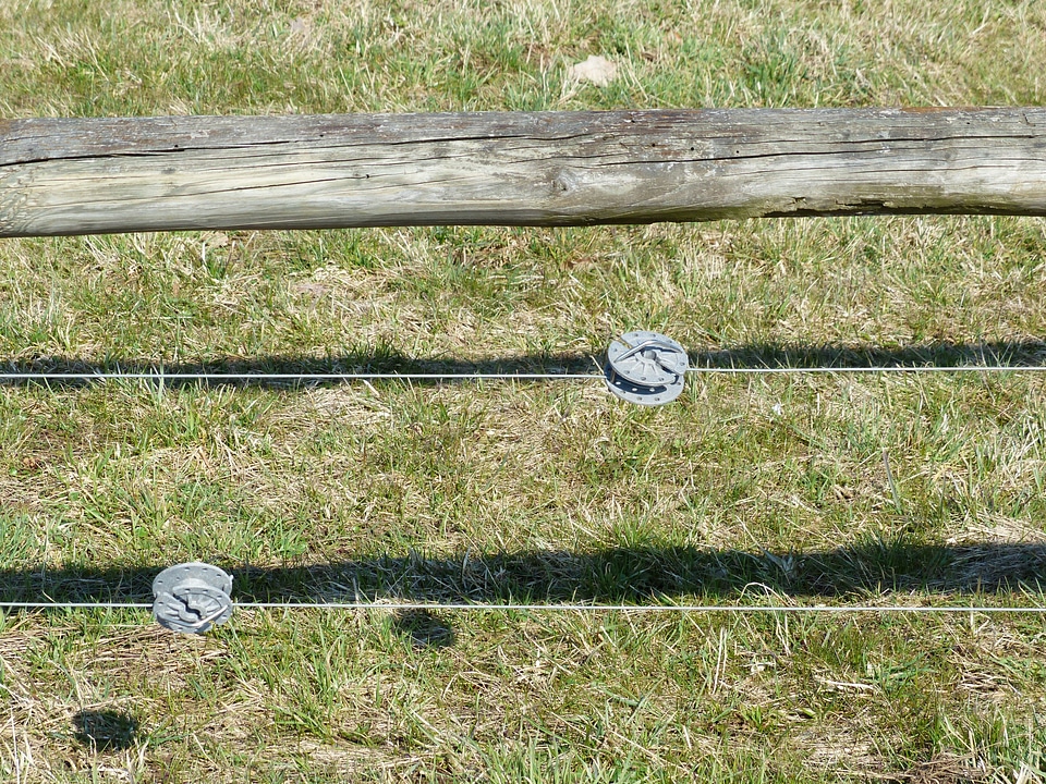 Wire metal pasture fence