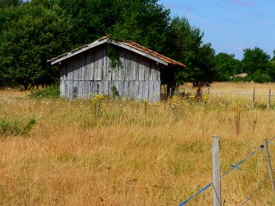 Landscape forest meadow photo