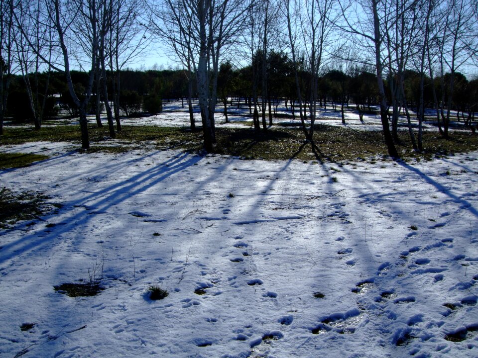 Snowy landscape winter countryside