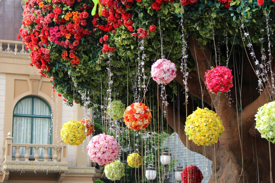 Everland nature play garden