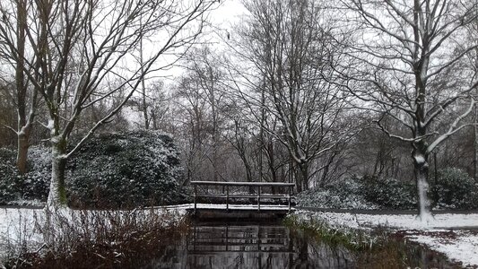 Bridge walk in the park vörder lake