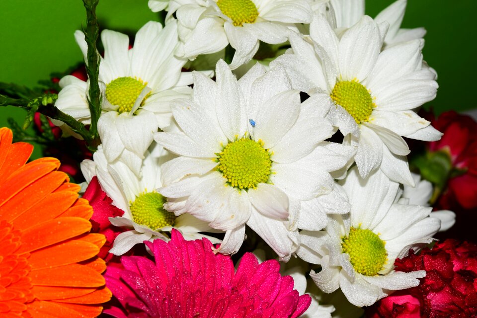White flora bouquet