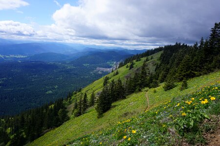 Nature columbia gorge photo