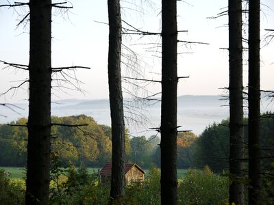 Trees autumn atmospheric photo