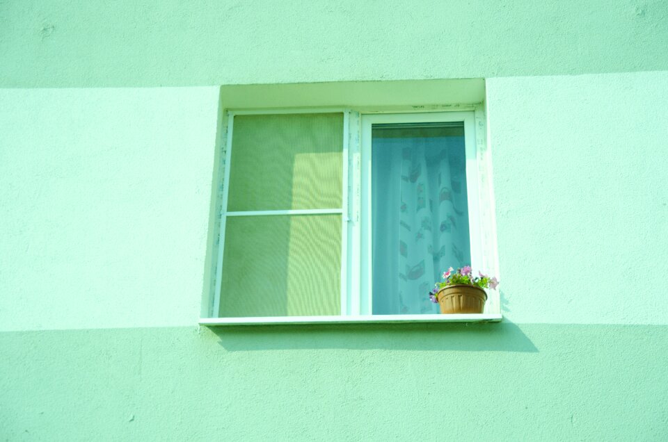 Ledge cornice flower pot photo