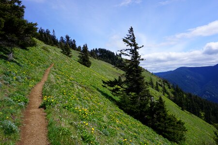Hiking trail mountain side photo