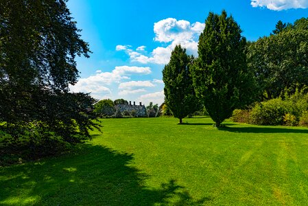 Trees blue sky photo