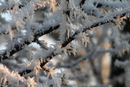 Frozen cold frosty