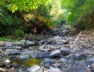 Nature creek water