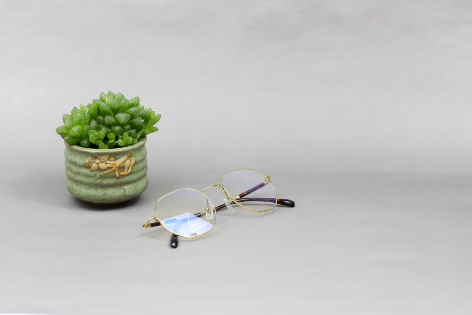 Glasses sunglasses fashion
