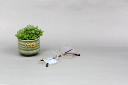 Glasses sunglasses fashion