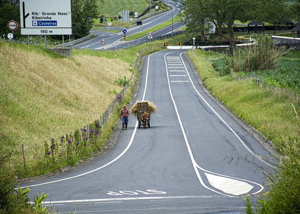 Traffic hay landscape