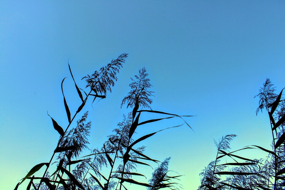 Water lake landscape
