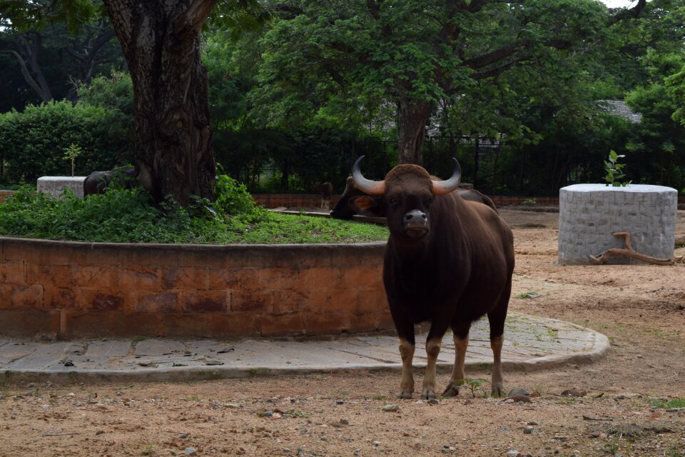 Mysore tourist place
