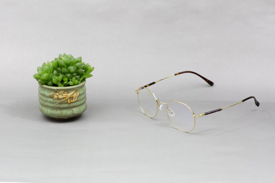 Glasses sunglasses fashion