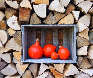 Pumpkin stacked wine box
