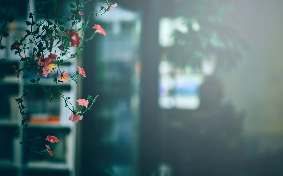 Night romantic pink