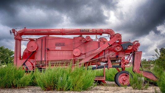 Harvest field cereals