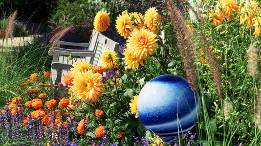 Bank summer flora