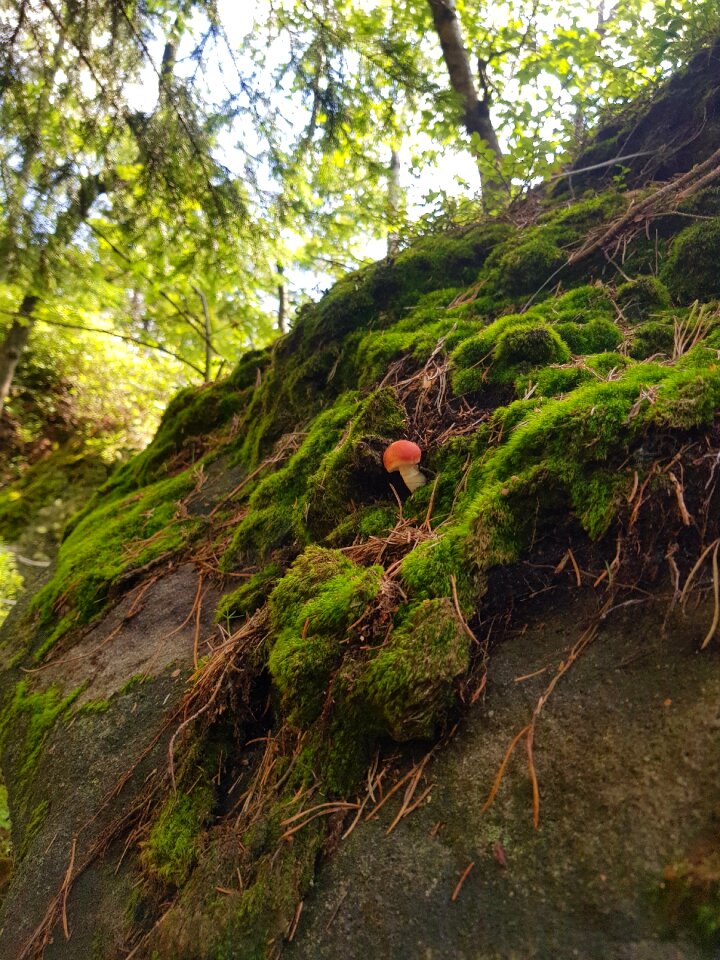 Nature stone mountain