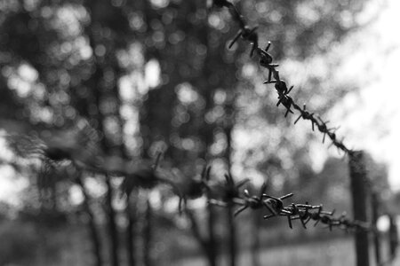 Black white barbed wire fence photo